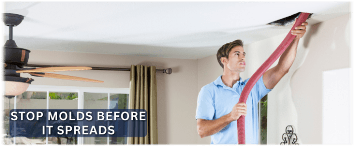 Air Duct Mold Removal in Washington DC
